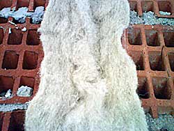 lana di pecora - Isolante termoacustico per edilzia