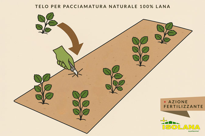 Pacciamatura naturale